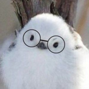 Meet your Posher, Jiwon